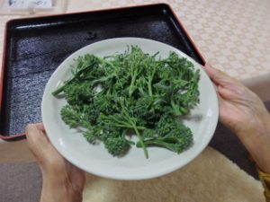 まんま野菜収穫2