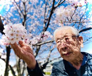 お花見4