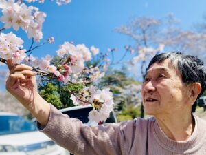 お花見２