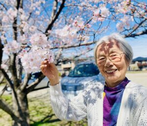 お花見８