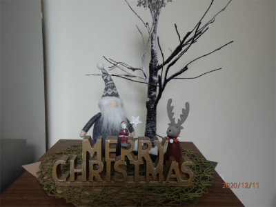 サンタとトナカイ