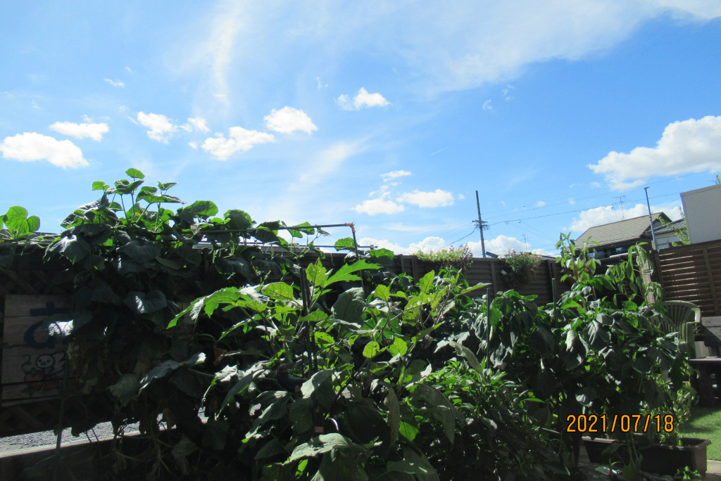 熱中症に気を付けて1